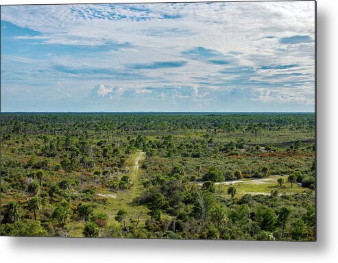 Tikki Metal Print featuring the photograph Jonathan Dickinson State Park Wide Angle by Ken Figurski