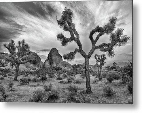 Joshua Tree Metal Print featuring the photograph Joshua Tree National Park Black and White Landscape by Dave Dilli