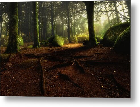 Sintra Metal Print featuring the photograph Just listen by Jorge Maia