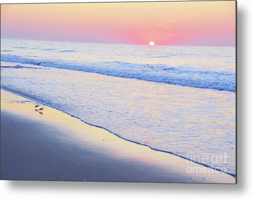 America Metal Print featuring the photograph Just The Two Of Us - Jersey Shore Series by Robyn King