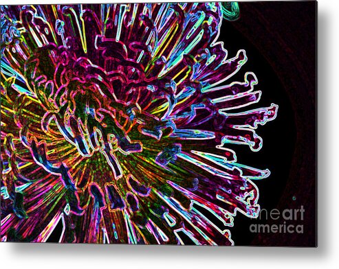 Flowers In The Kitchen Metal Print featuring the photograph Kaleidoscopic by Julie Lueders 