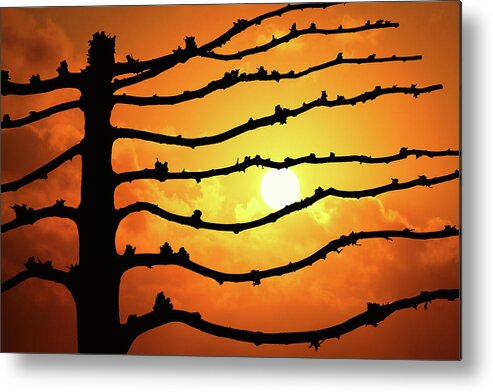 Sunset Metal Print featuring the photograph Kalmte by Iryna Goodall