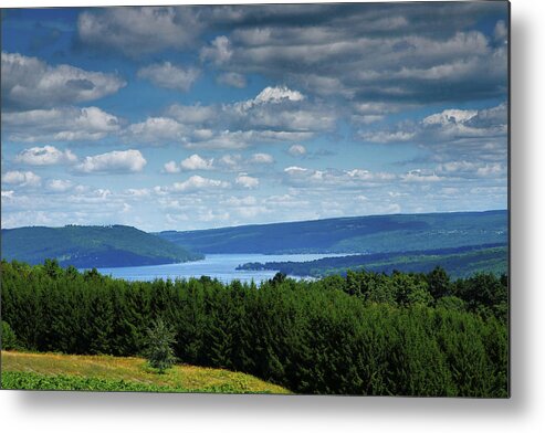 Lake Metal Print featuring the photograph Keuka Landscape V by Steven Ainsworth