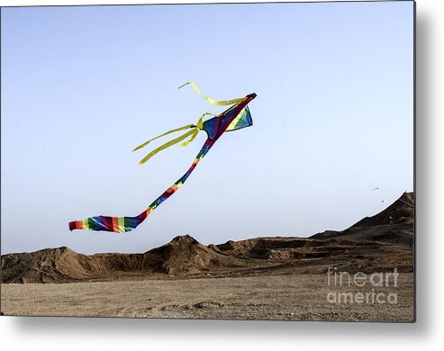 Joy Metal Print featuring the photograph Kite Dancing In Desert 03 by Arik Baltinester