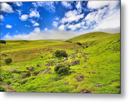 Hawaii Metal Print featuring the photograph Kohala Hawaii by DJ Florek