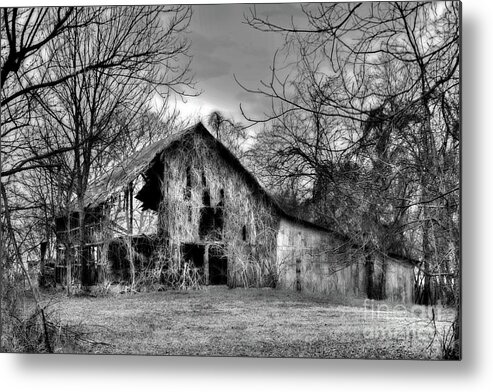 Barn Metal Print featuring the photograph Kudzu Covered Barn in the Mississippi Delta by T Lowry Wilson