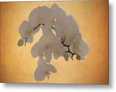 Orchids Metal Print featuring the photograph La Dolce Vita by Kate Hannon