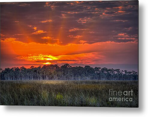 Pine Island Metal Print featuring the photograph Labor Of Love by Marvin Spates