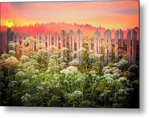 Clouds Metal Print featuring the photograph Lace Along the Fence by Debra and Dave Vanderlaan