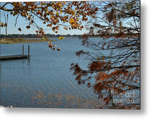 Autumn Metal Print featuring the photograph Lake Bonny Autumn by Carol Bradley