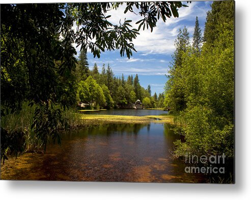 Lake Fulmor Metal Print featuring the photograph Lake Fulmor View by Ivete Basso Photography
