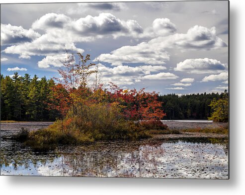 Autumn Metal Print featuring the photograph Lake Island Autumn by Irwin Barrett