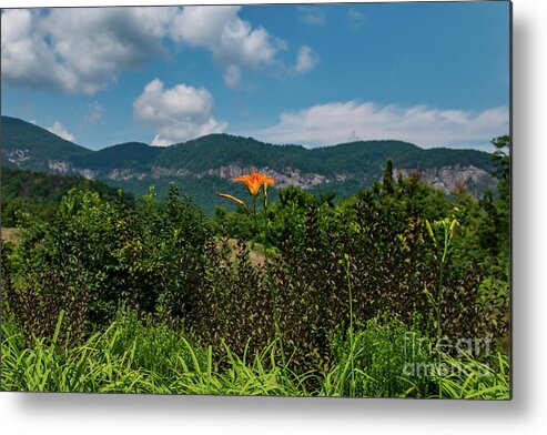 Lake Lure Metal Print featuring the photograph Lake Lure #2 by Buddy Morrison