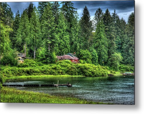 Grass Metal Print featuring the photograph Lake Quinault 3 by Richard J Cassato