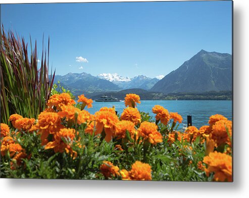 Lake Metal Print featuring the photograph Lake Thunersee by Andy Myatt