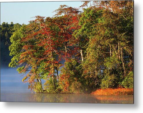 Lake Waban Metal Print featuring the photograph Lake Waban Fall Foliage by Juergen Roth