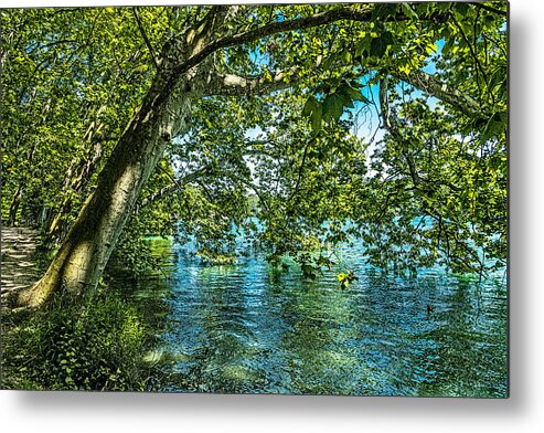 Printemps Metal Print featuring the photograph Lakeside in the Parc Tete dOr by W Chris Fooshee