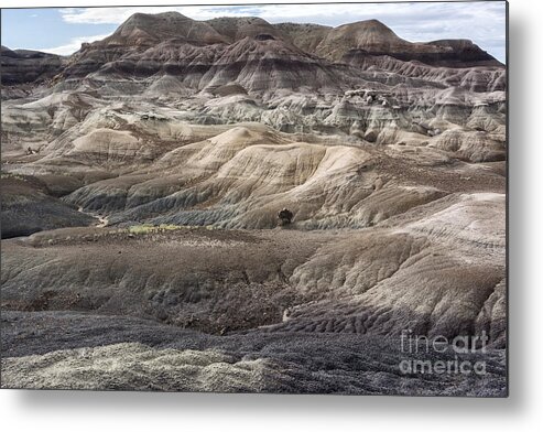 Petrified Forest Metal Print featuring the photograph Landscape With Many Colors by Melany Sarafis