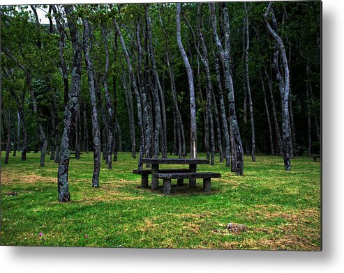 Acores Metal Print featuring the photograph Landscapes-40 by Joseph Amaral