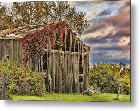 Barn Metal Print featuring the photograph Late Afternoon At The Barn by Cathy Kovarik