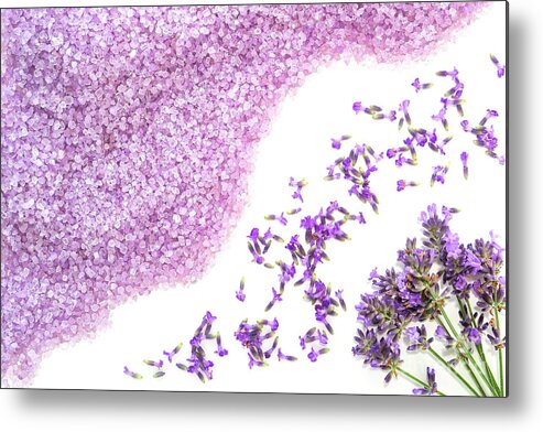 Lavender Metal Print featuring the photograph Lavender Art by Olivier Le Queinec