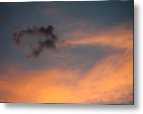 Fly Metal Print featuring the photograph Learning to Fly by Cathie Douglas