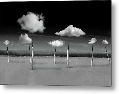 Trees Clouds Desert Sticks Sky Dry Metal Print featuring the photograph Let it rain... by Carolyn D'Alessandro