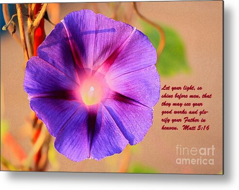 Morning Glories Metal Print featuring the photograph Let Your Light Shine by Barbara Dean