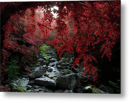 Smoky Mountain Stream Metal Print featuring the photograph Let's Dream Together by Mike Eingle