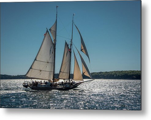Schooner Metal Print featuring the photograph Lewis R. French by Fred LeBlanc
