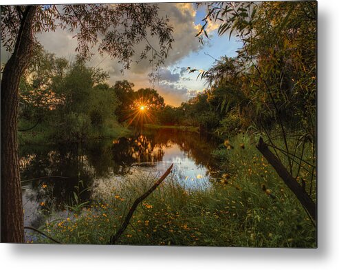 Landscape Metal Print featuring the photograph Light Through The Trees by Justin Battles