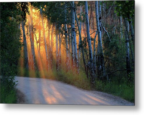 Rays Metal Print featuring the photograph Lighting The Way by Shane Bechler