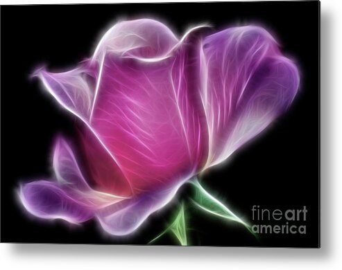 Photography Metal Print featuring the photograph Lightning Rose by Kaye Menner