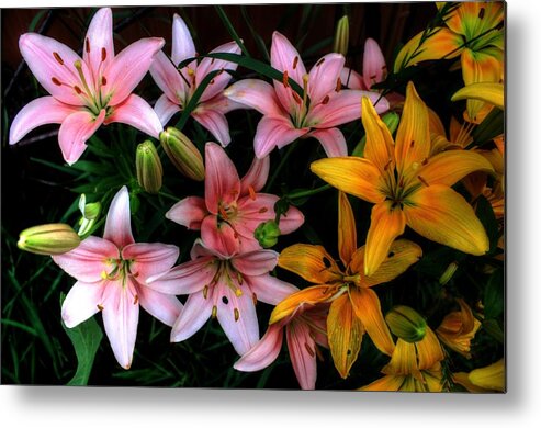 Autumn Metal Print featuring the photograph Lilies by David Matthews