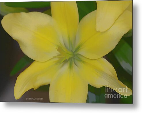 Lilly Metal Print featuring the photograph Lilly With Artistic Beauty by Deborah Benoit