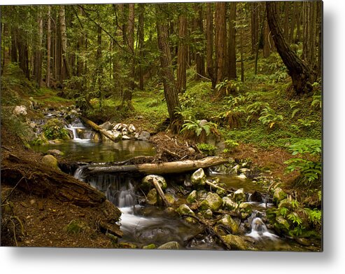 Streams Metal Print featuring the photograph Lime Kiln creek 1 by Gary Brandes