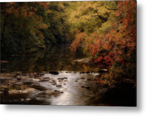 Stream Metal Print featuring the photograph Linville River Autumn by C Renee Martin