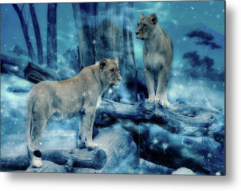 Lions Metal Print featuring the mixed media Lions Of The Mist by Mountain Dreams