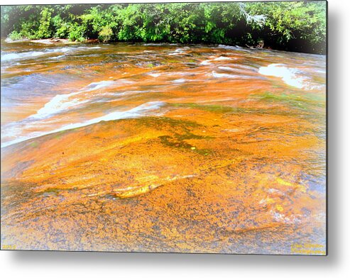 Dupont State Forest Nc Metal Print featuring the photograph Liquid Gold by Lisa Wooten