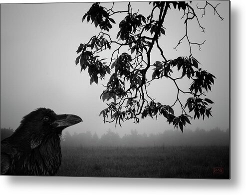 Raven Metal Print featuring the photograph Listening to the Leaves by David Gordon