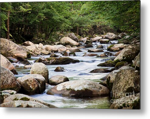 Little Pigeon River Metal Print featuring the photograph Little Pigeon River by Jemmy Archer