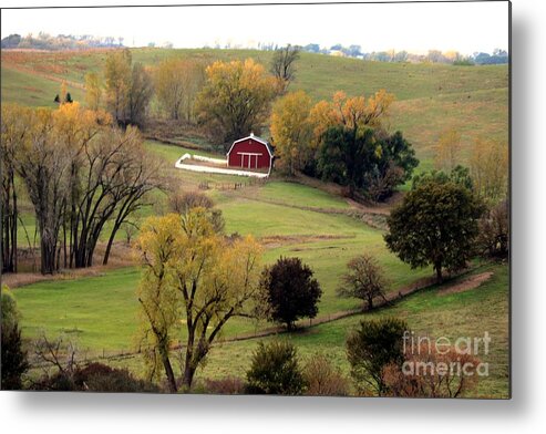 Fall Metal Print featuring the photograph Little red in valley by Yumi Johnson