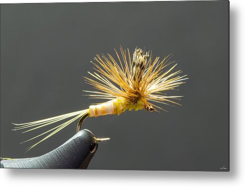 Fly Tying Metal Print featuring the photograph Little Yellow Parachute Mayfly by Phil And Karen Rispin