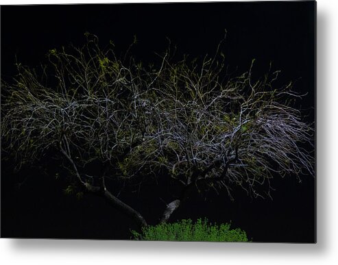 Orcinusfotograffy Metal Print featuring the photograph Siren In The Dark by Kimo Fernandez