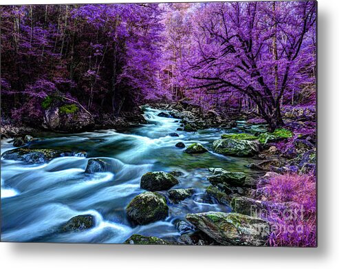 River Scene Metal Print featuring the photograph Living In Yesterday's Dream by Michael Eingle