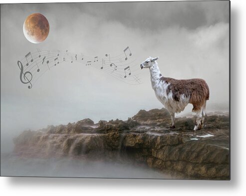 Llama Metal Print featuring the photograph Llama Singing to the Moon by Rebecca Cozart