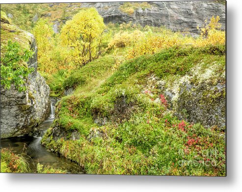 Norway Metal Print featuring the photograph Lofoten In Autumn 34 by Timothy Hacker