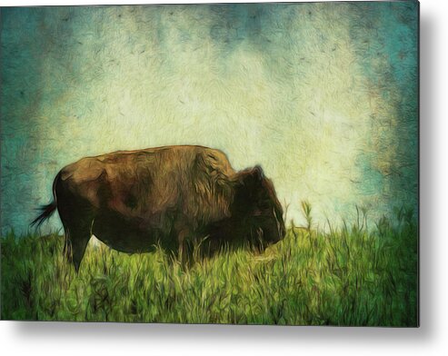Bison Metal Print featuring the photograph Lone Bison On The Prairie by Ann Powell