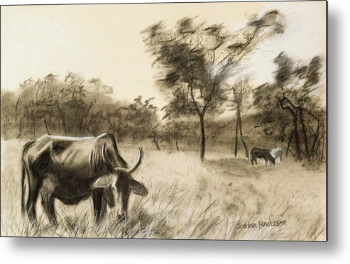 Animal Metal Print featuring the drawing Lone Cow Grazing by Jordan Henderson