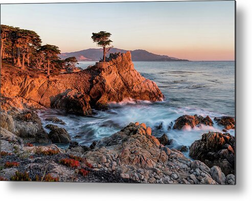 Lone Cypress Metal Print featuring the photograph Lone Cypress 17 Mile Drive by Mike Centioli